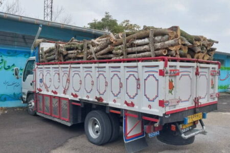 ۲ تن چوب آلات قاچاق جنگلی در اردبیل کشف شد
