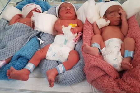تولد نوزادان سه قلو در بیمارستان علوی اردبیل