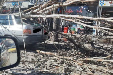 خسارات تندباد در اردبیل