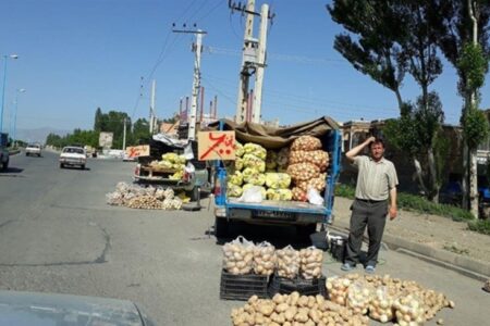 نابسامانی میوه فروش ها تضییع حقوق عامه است