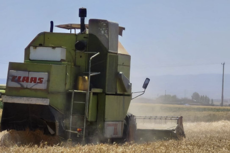 پیش‌بینی خرید ۸۰ هزار تُن گندم در شهرستان اردبیل