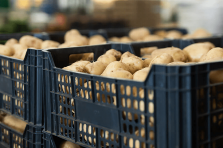 سردخانه ۶۵ هزار تنی سیب‌زمینی در اردبیل احداث می‌شود